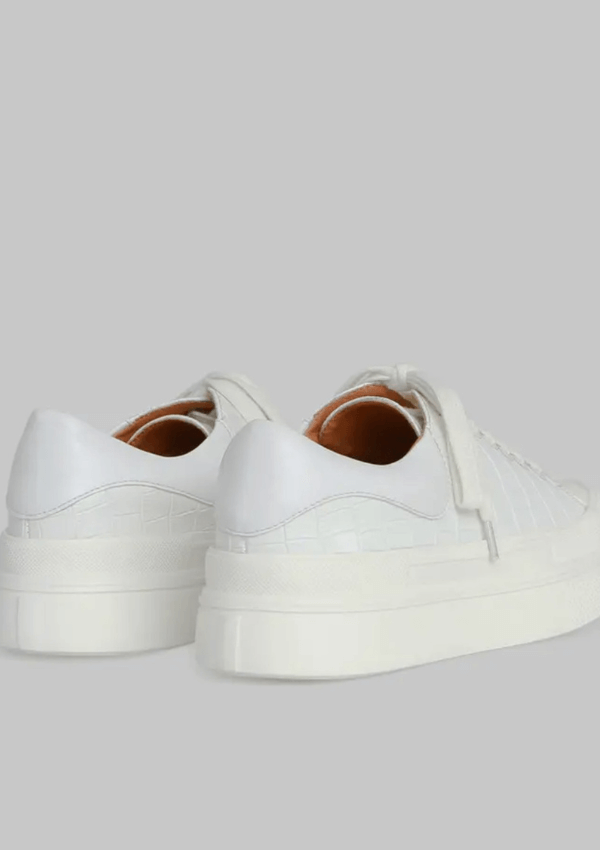 White leather sneaker in croc - Belle & Bloom 